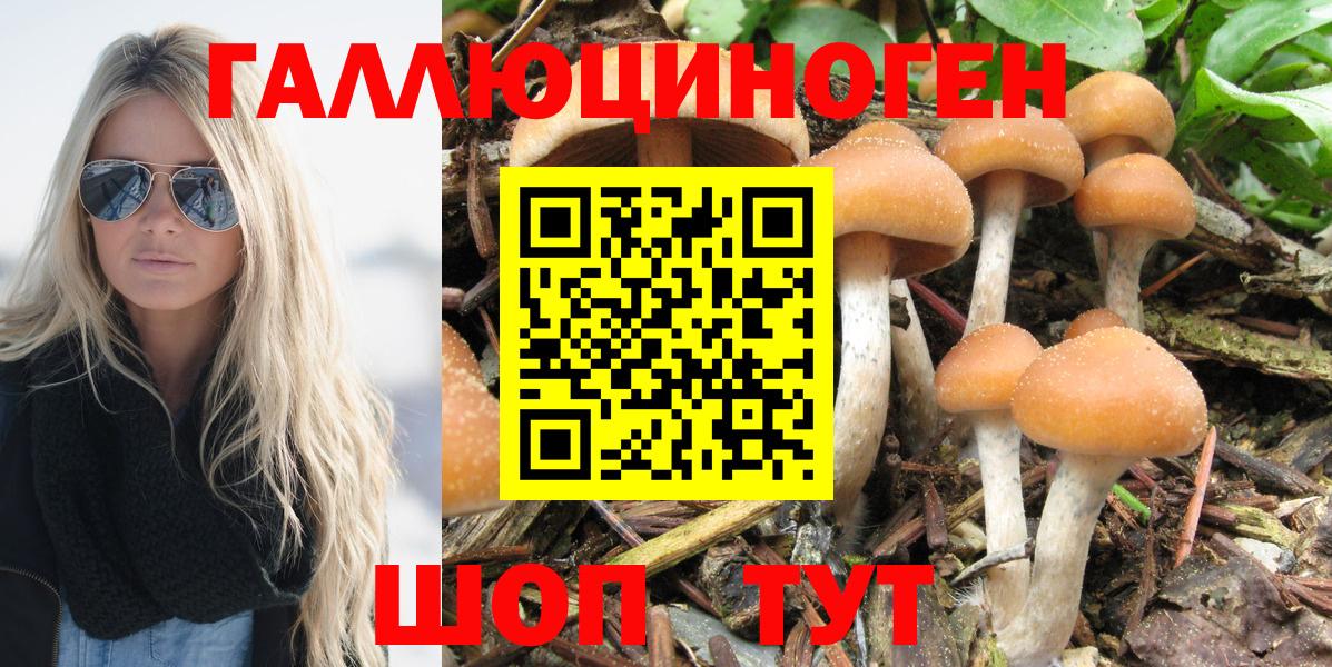 Псилоцибиновые грибы Magic Shrooms Александров